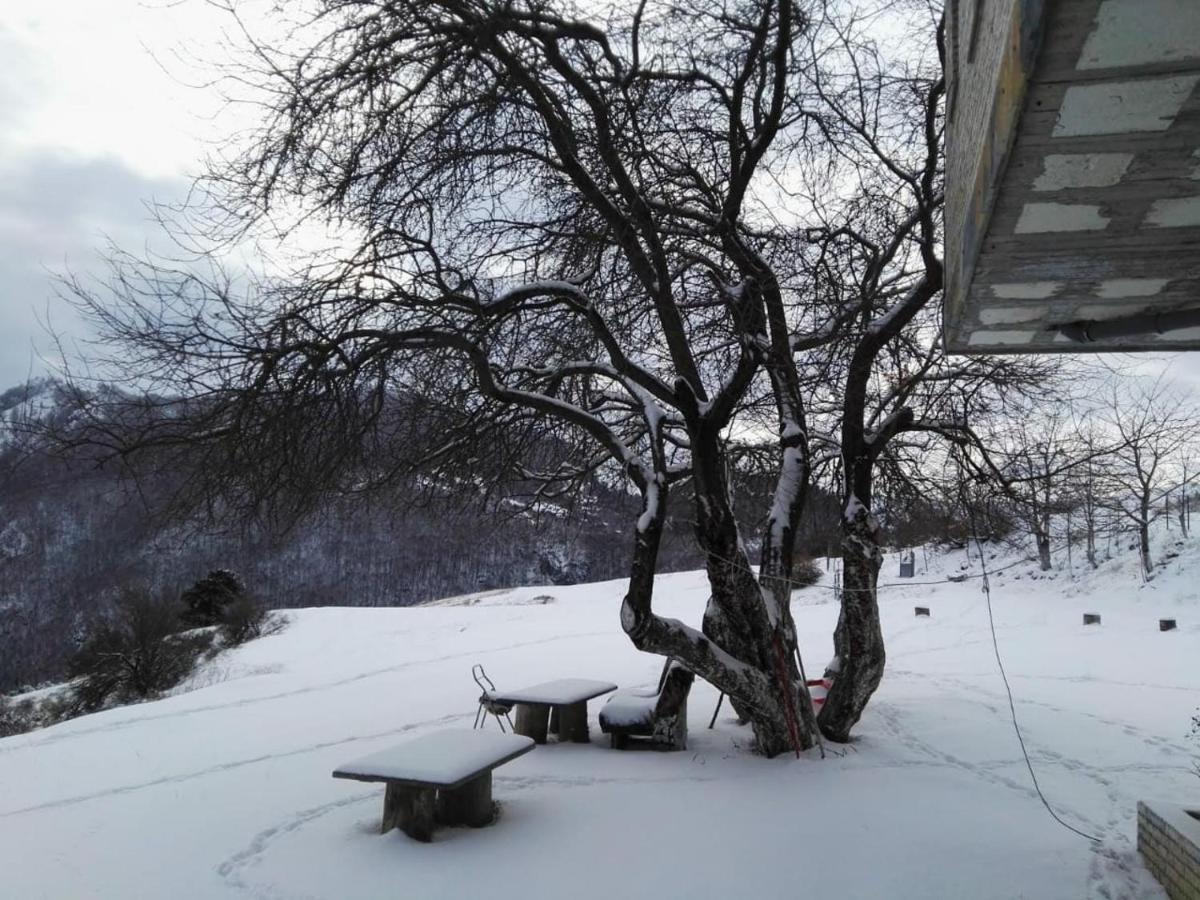 Bujtina E Tomorrit Hotel Ujanik Exterior foto