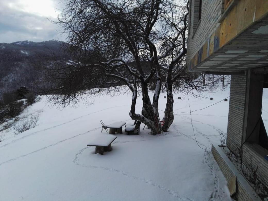 Bujtina E Tomorrit Hotel Ujanik Exterior foto